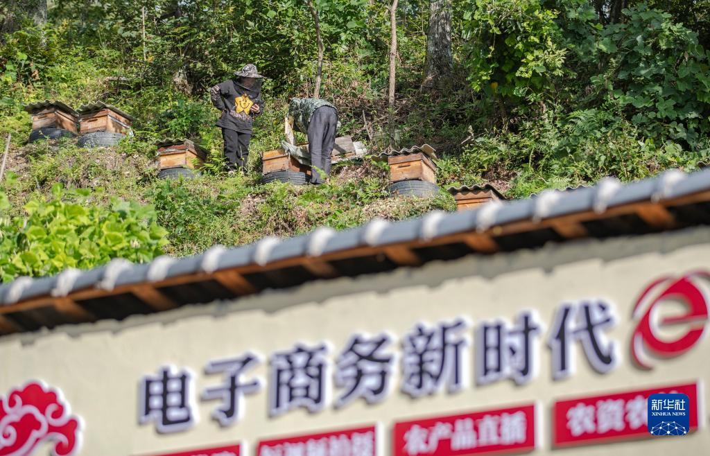 游戏厅老虎机